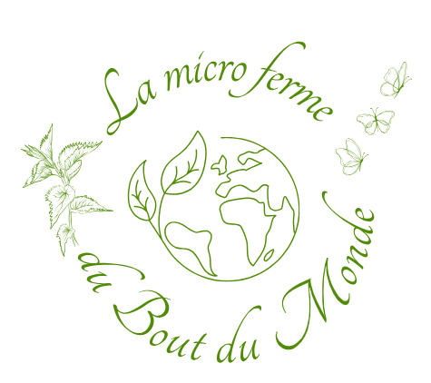 formation la palette végétale du jardin forêt