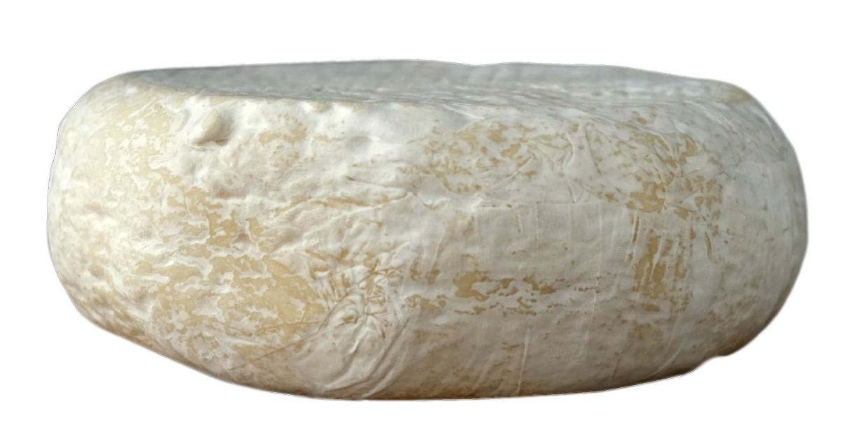 Le pavé de Tavys – Fleuri