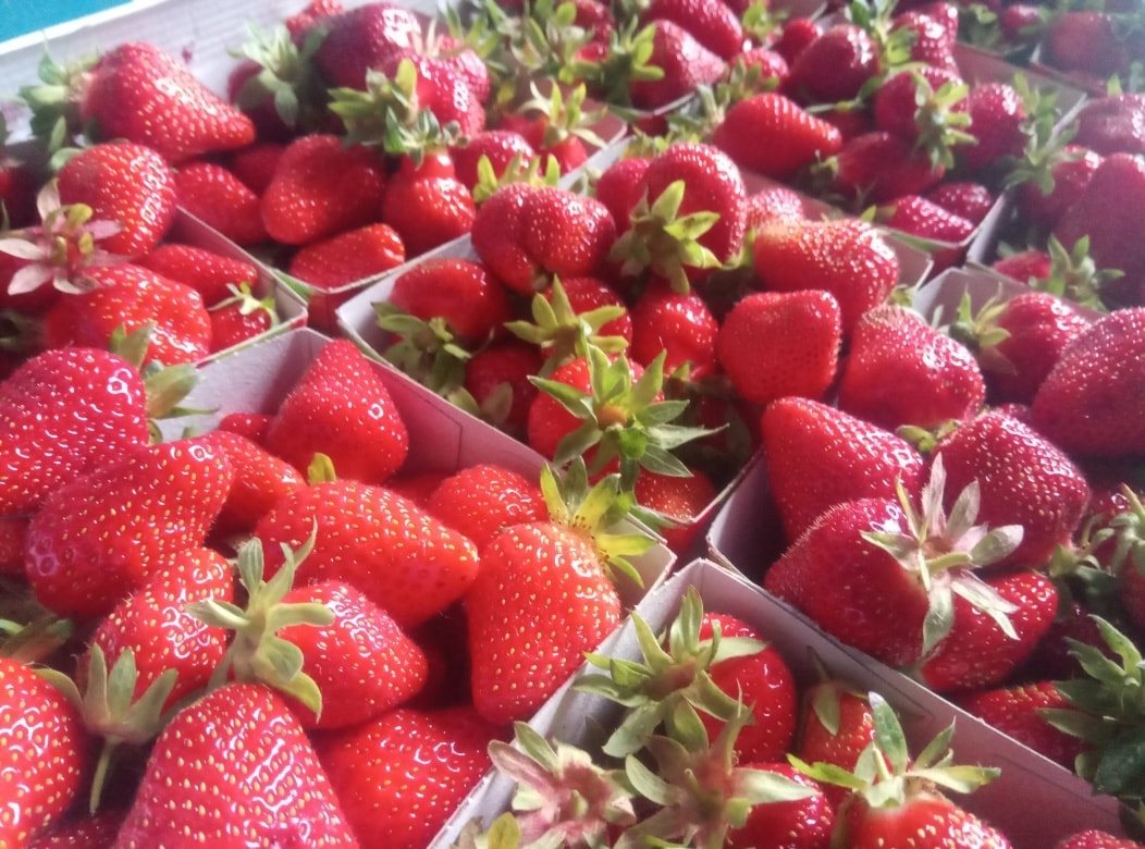 Fraise