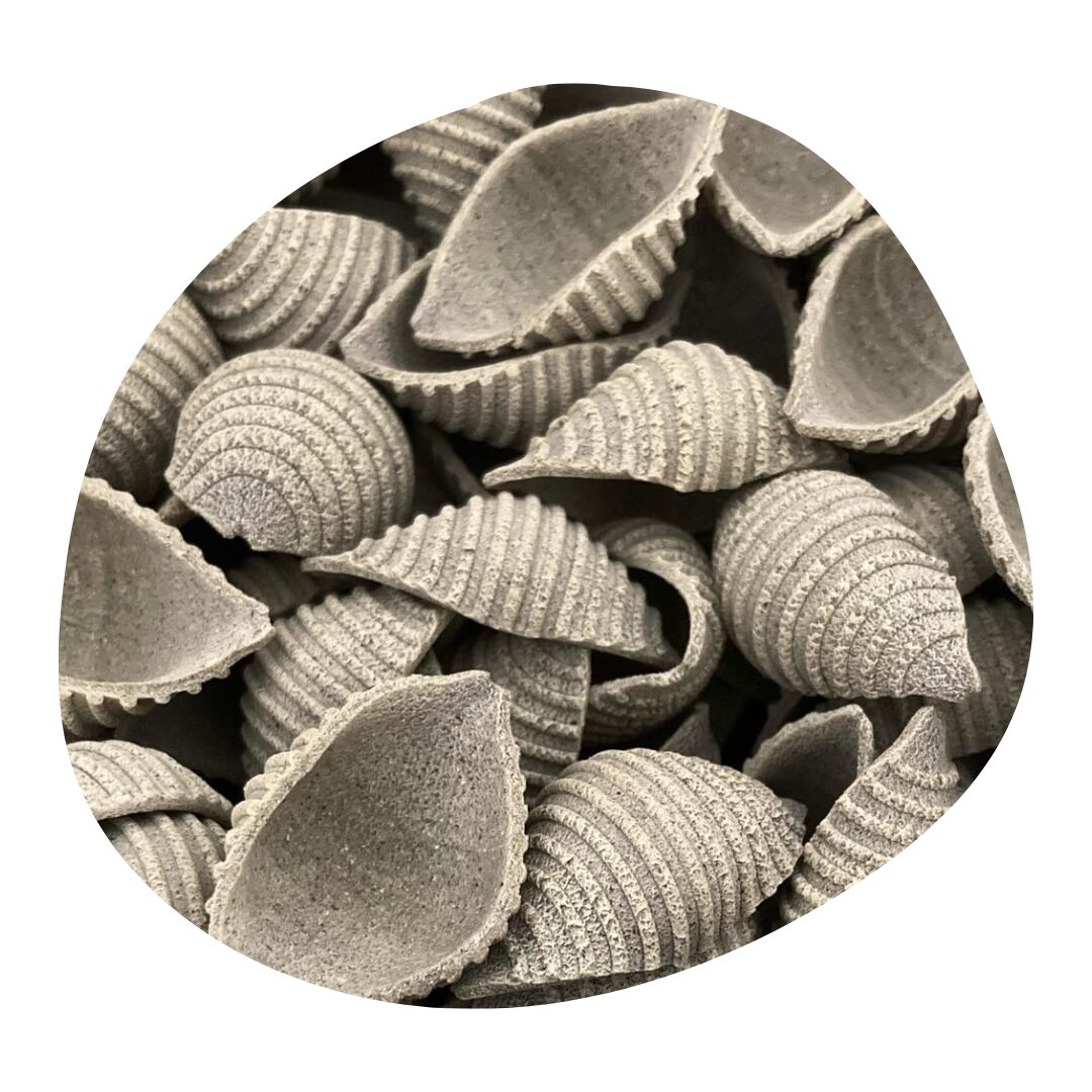 Pâtes sèches - Coquillages - Aux orties