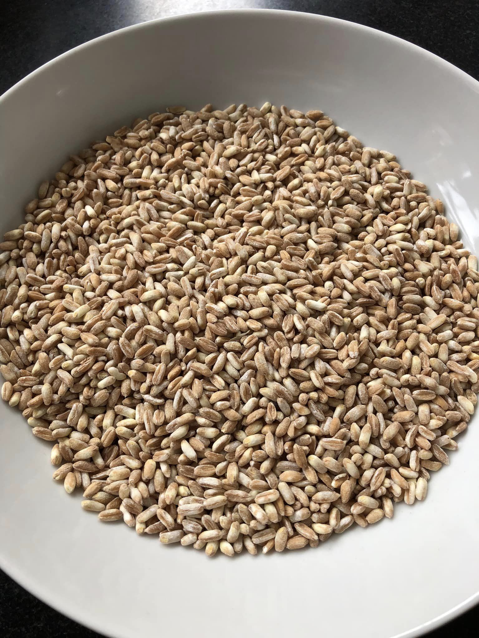 Epeautre perlé BIO (riz d'épeautre)