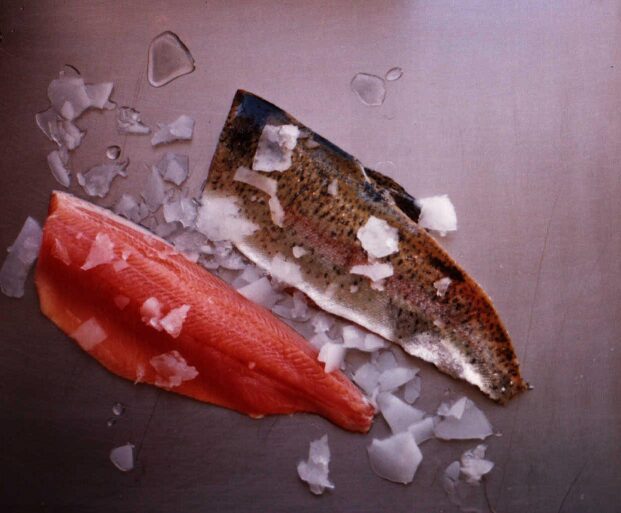 Truite Saumonée en filets