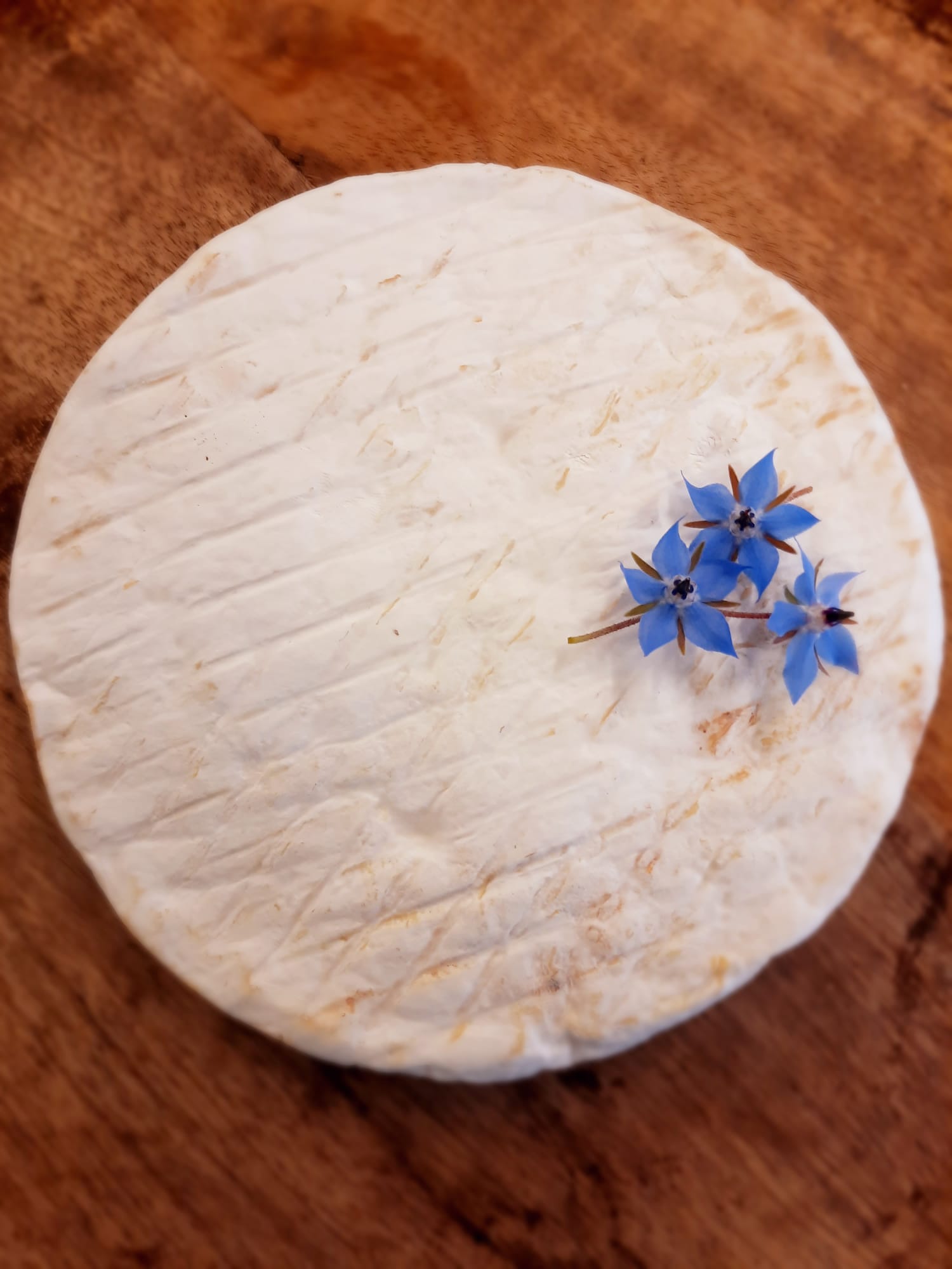 Coeur Fleuri